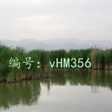 ʧ